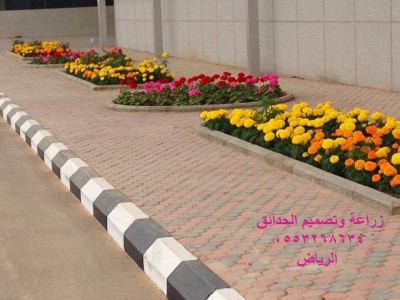 تنسيق وزراعة الحدائق - الرياض0553268634