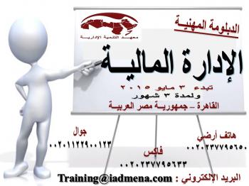 الدبلومـــــة المهنيـــــة/ الإدارة الماليــــــة