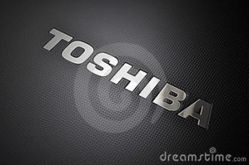 صيانة توشيبا toshiba 19089 - 01000081193