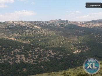 قطعة من 1300م في عجلون راس منيف