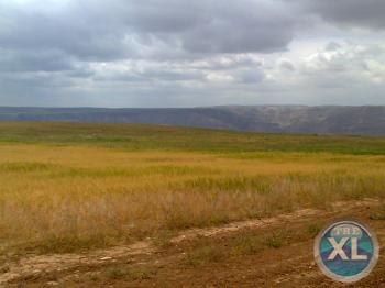 قطع اراضي - مطله ع البحر الضفه ونهر الهيدان غرب ذيبان -- تربه حمراء رائعه ----خدمات كامله --من 6 دنم الى 70 دنم اطلالت غايه في الروعه  -الصور قرب المط