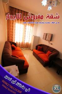 شقة مفروشة للطلاب فاخرة للايجار بسعر مغري في ابو نصير  /