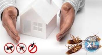 شركة مكافحة حشرات وتنظيف منزلي بالمدينة المنوره 0536680270 النجار