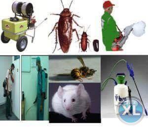 شركة مكافحة حشرات وتنظيف منزلي بالمدينة المنوره 0536680270 النجار