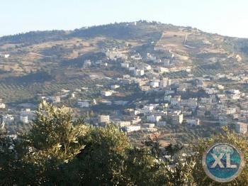 مزعة للبيع في جرش 4 دونمات