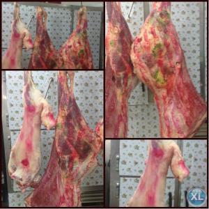 افضل شركة لحوم في الكويت | اطيب اللحوم المصرية - 96551251705