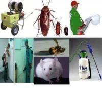 شركة مكافحة حشرات وتنظيف منزلي بالمدينة المنوره 0536680270 