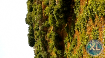 مزرعة للبيع في الاردن عجلون