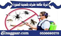 شركة مكافحة حشرات بالمدينة المنورة 0536680270 شركة النجار