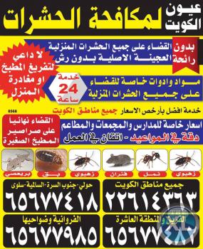 مكافحة حشرات الكويت - 96942550 | 94166565