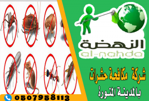 شركة مكافحة حشرات بالمدينة المنورة 0507958113 النهضة