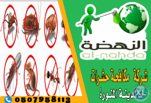 شركة مكافحة حشرات بالمدينة المنورة 0507958113 النهضة