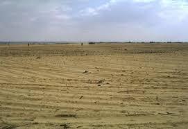 ارض للبيع فى التجمع الخامس فى اللوتس الجديده 2نمره  من ا