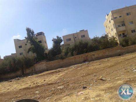 ارض للبيع في الجويدة