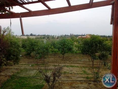 مزرعة ومعلف وفيلا للبيع او الايجار بسعر مذهل