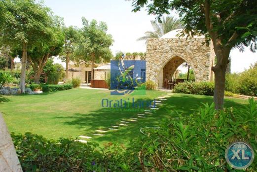 ارض بالغرود الغربية بجمعية أحمد عرابى