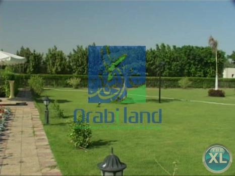 فرصة للصفوة مزرعة 7  فدان و 7 قيراط بجمعية أحمد عرابى