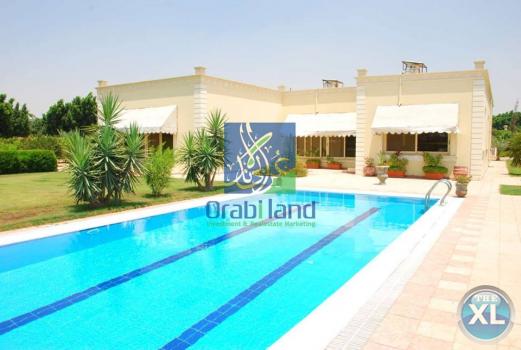 فرصة للصفوة مزرعة 7  فدان و 7 قيراط بجمعية أحمد عرابى