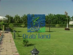 فرصة للصفوة مزرعة 7  فدان و 7 قيراط بجمعية أحمد عرابى