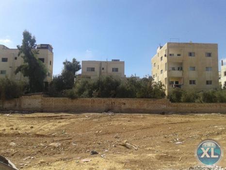 أرض للبيع في الجويدة / المستندات و ام زعرورة