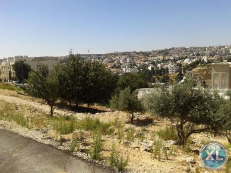 ارض للبيع في عرقوب خلدا/ منطقة فلل