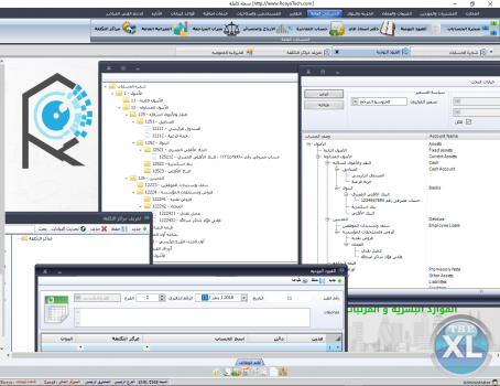 برنامج رؤية للمخازن والحسابات العامة