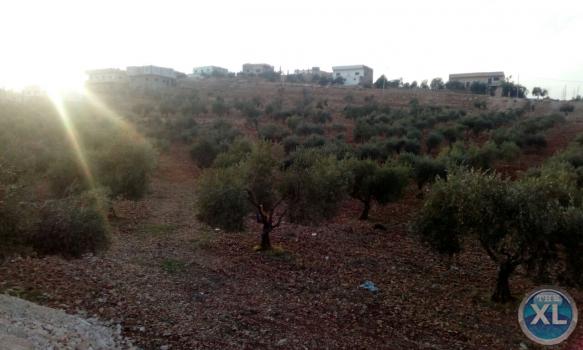 شقة للايجار في جرش