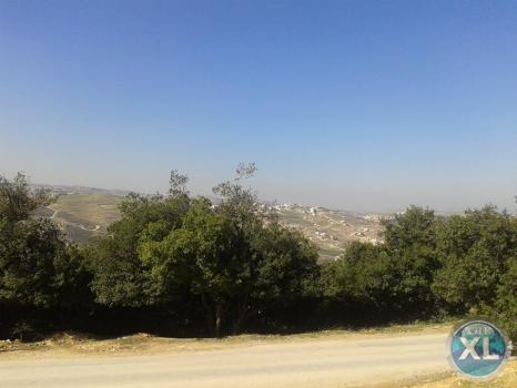 ارض للبيع في صويلح / منطقة سلطاني السلط - مقابل الحمر منطقة فلل