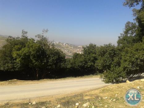 ارض للبيع في صويلح / منطقة سلطاني السلط - مقابل الحمر منطقة فلل