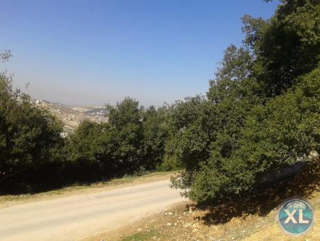 ارض للبيع في صويلح / سلطاني السلط - منطقة فلل