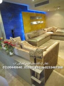 شركات ديكورات ( شركه عقاري للتنميه واداره المشروعات) 0102