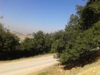 ارض للبيع في صويلح- سلطاني السلط / منطقة فلل - هادئة و مط�