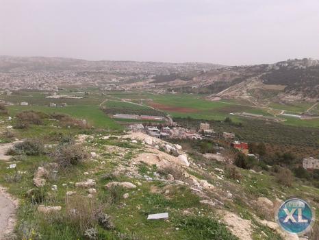 ارض تبعد 1.6 كم عن إشارة السرو - منطقة هادئة و مطلّة