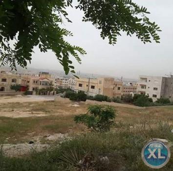 ارض للبيع في القويسمة تبعد 1.5 كم عن مجمع الجنوب