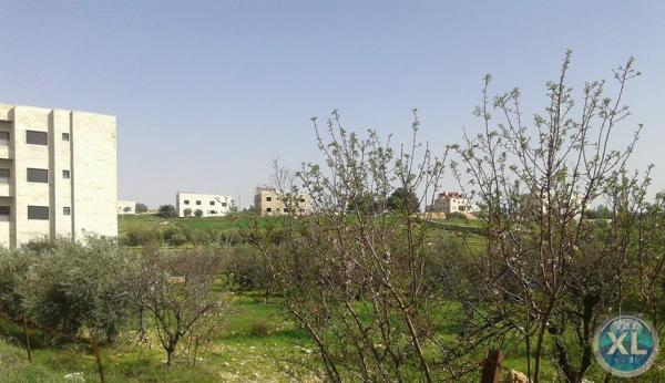 ارض للبيع في شفا بدران - قرب المؤسسة العامّة للغذاء و الدواء