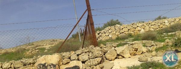 ارض للبيع في زينات الربوع/ المكمان - تبعد كيلومتر واحد عن ترخيص شفا بدران