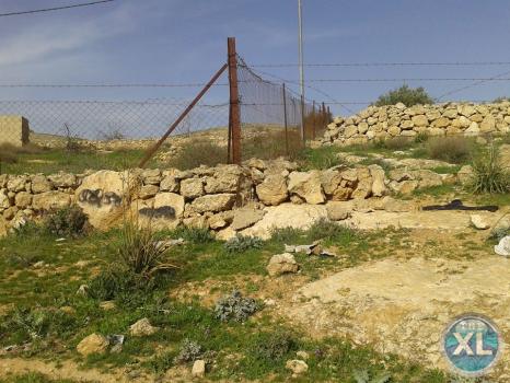 ارض للبيع في زينات الربوع/ المكمان - تبعد كيلومتر واحد عن ترخيص شفا بدران