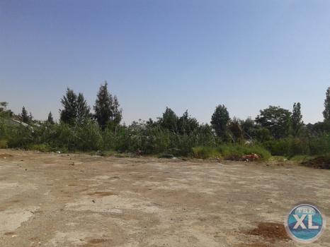ارض تجاري للبيع في الجويدة/ المستندات و ام زعرورة - مقابل نادي الرماية الملكي