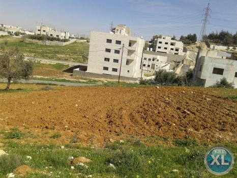 ارض للبيع في البنيات/ قرب أكاديمية القادة الدولية - تبعد 345م عن شارع المطار