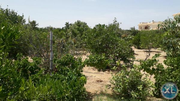 شاليه للبيع بالريف الاوروبي تشطيب هاي لوكس