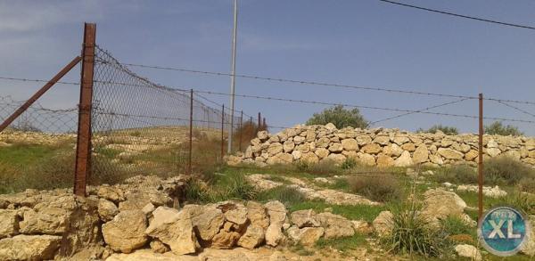 ارض للبيع في زينات الربوع - تبعد كيلومتر واحد عن ترخيص شفا بدران