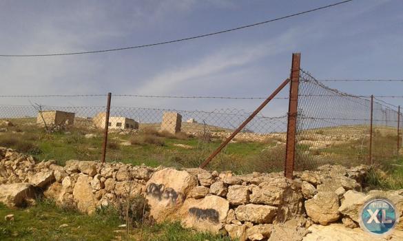 ارض للبيع في زينات الربوع - تبعد كيلومتر واحد عن ترخيص شفا بدران