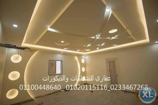 شركات تشطيب شقق (شركه عقاري للتنميه واداراه المشروعات)01020115116