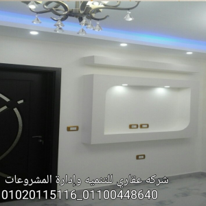 شركات تشطيب شقق (شركه عقاري للتنميه واداراه المشروعات)0