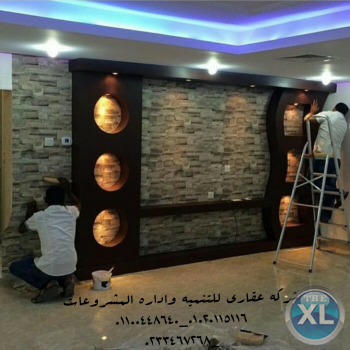 شركه تشطيب (شركة عقاري للتنمية وأداره المشروعات 01020115116)