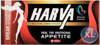 مع هارفا الالمانى هتخسى يعنى هتخسى