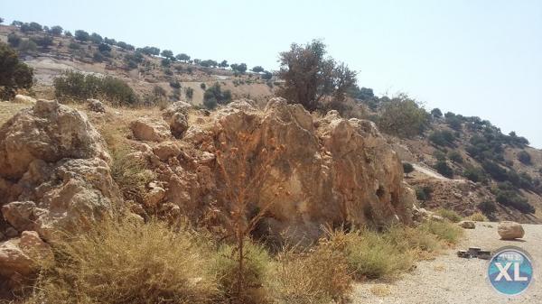 ارض للبيع في وادي السير/ منطقة ابو السوس - تبعد 850م عن طريق الصناعة