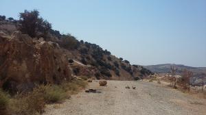 ارض للبيع في وادي السير/ منطقة ابو السوس - تبعد 850م عن طر