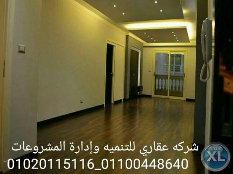 افضل ديكور في مصر شركه عقاري للتنميه واداره المشروعات 01020115116