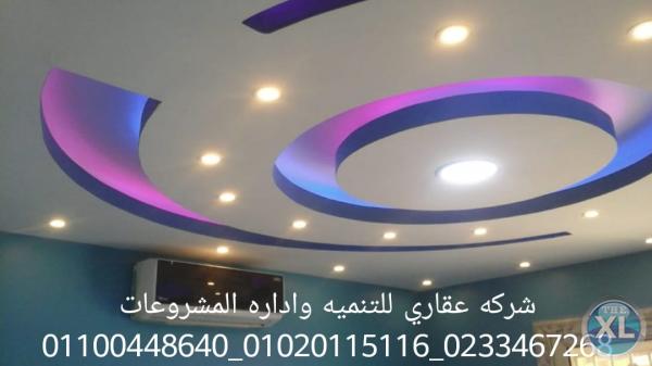 افضل ديكور في مصر  (شركه عقاري للتنميه واداره المشروعات)01020115116